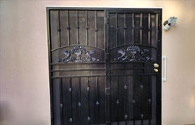 Double Black Security Door