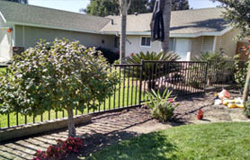 Open View Side Metal Fence with Nuckles