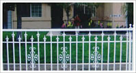 Iron Fences