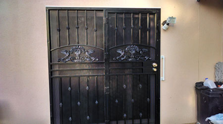 Double Black Security Door